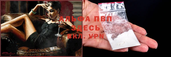 стаф Волоколамск