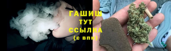 стаф Волоколамск
