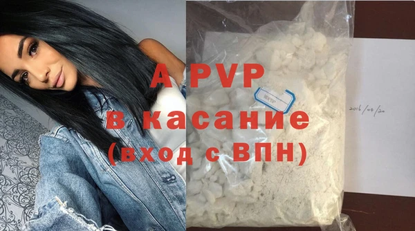 стаф Волоколамск