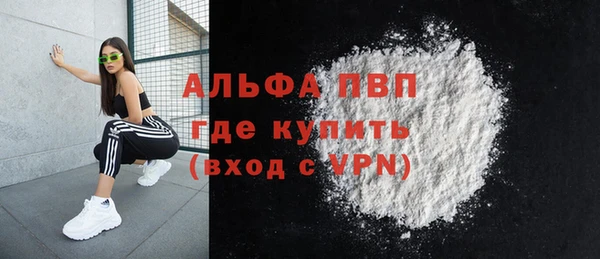 стаф Волоколамск