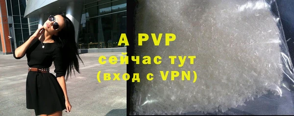 стаф Волоколамск