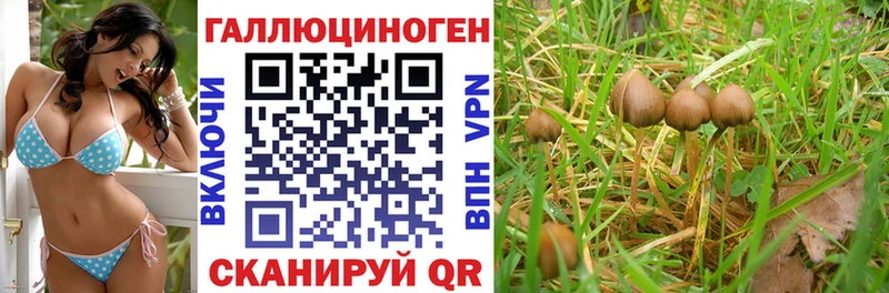 сколько стоит  Владикавказ  ссылка на мегу ссылка  Псилоцибиновые грибы мухоморы 